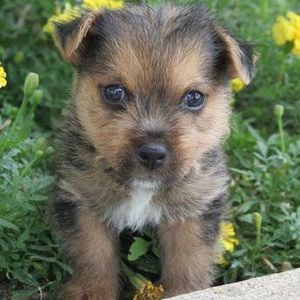 Meet your Posher, Mary